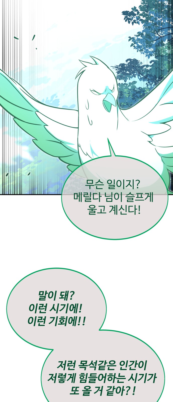 116 페이지