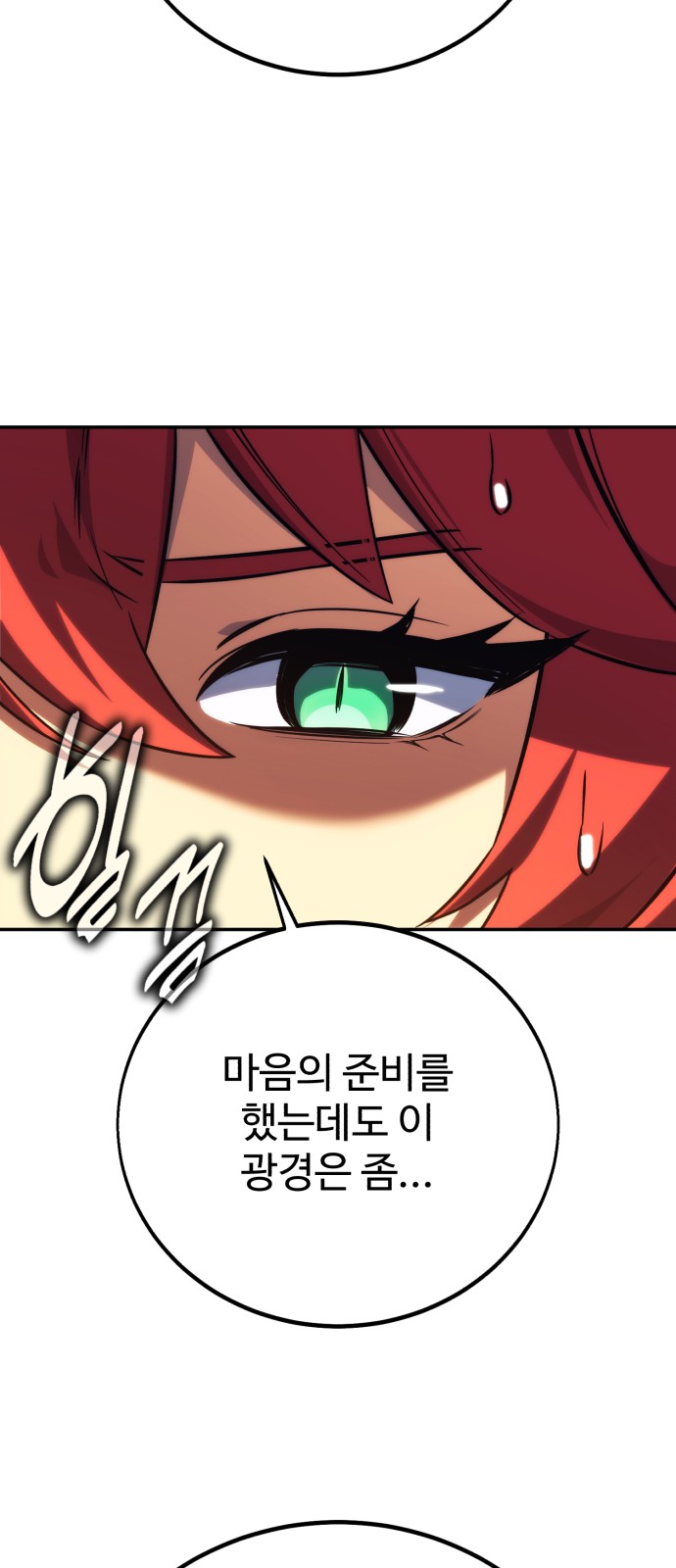68 페이지