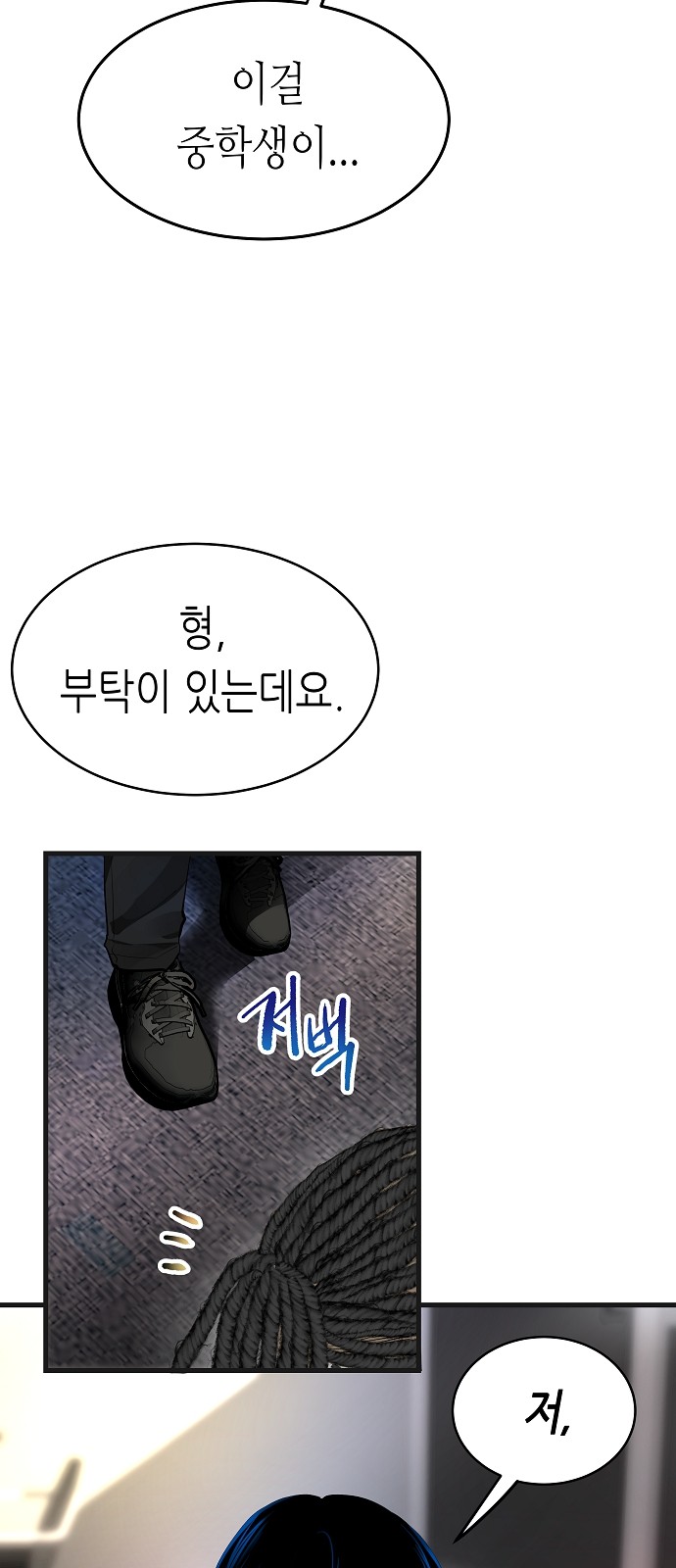 66 페이지