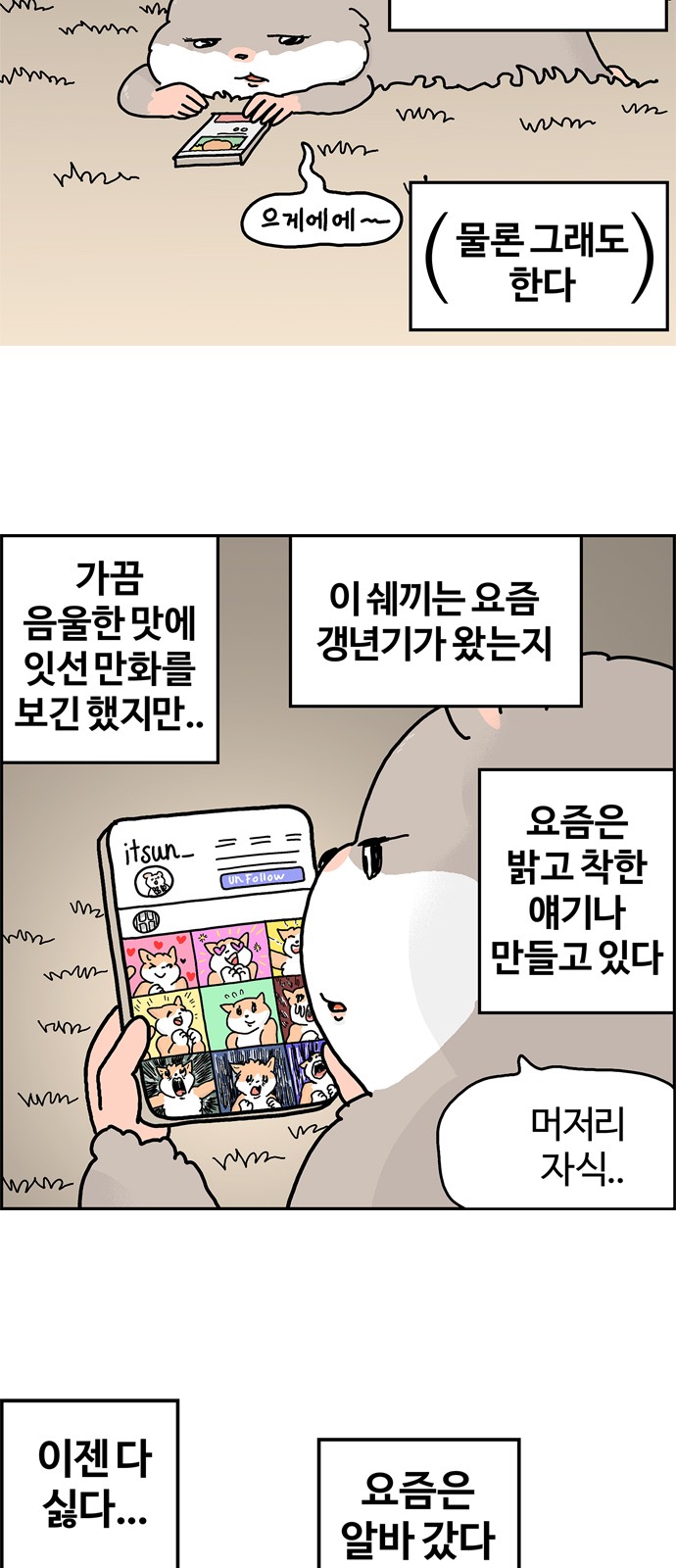 5 페이지