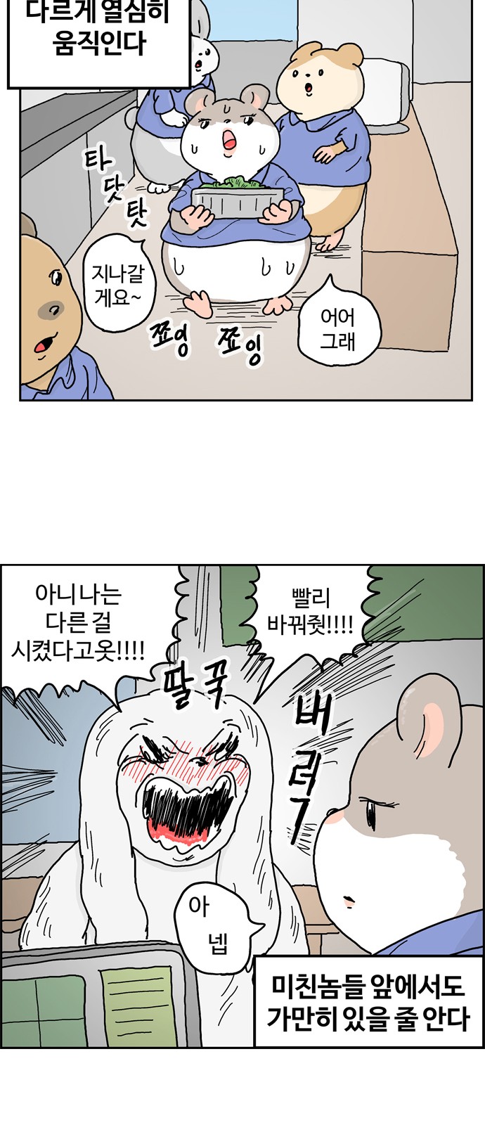 11 페이지