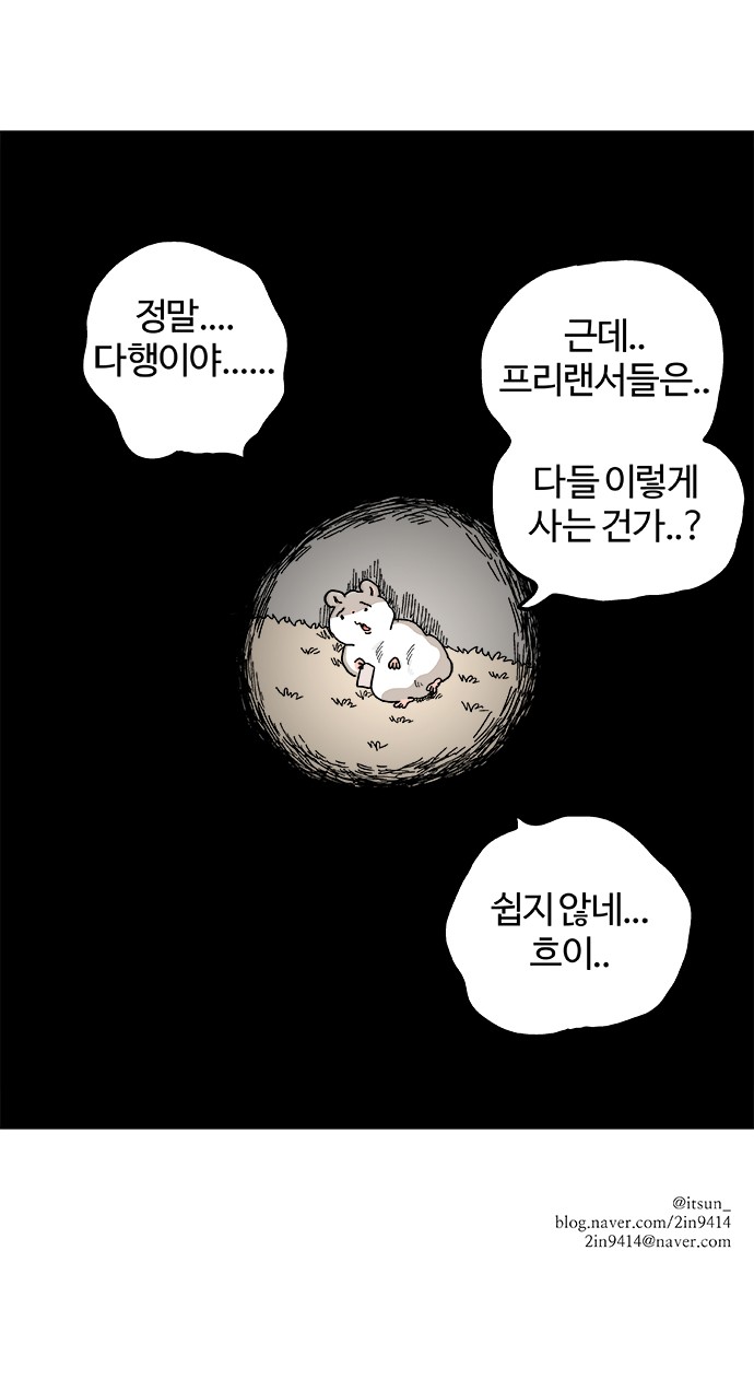 13 페이지