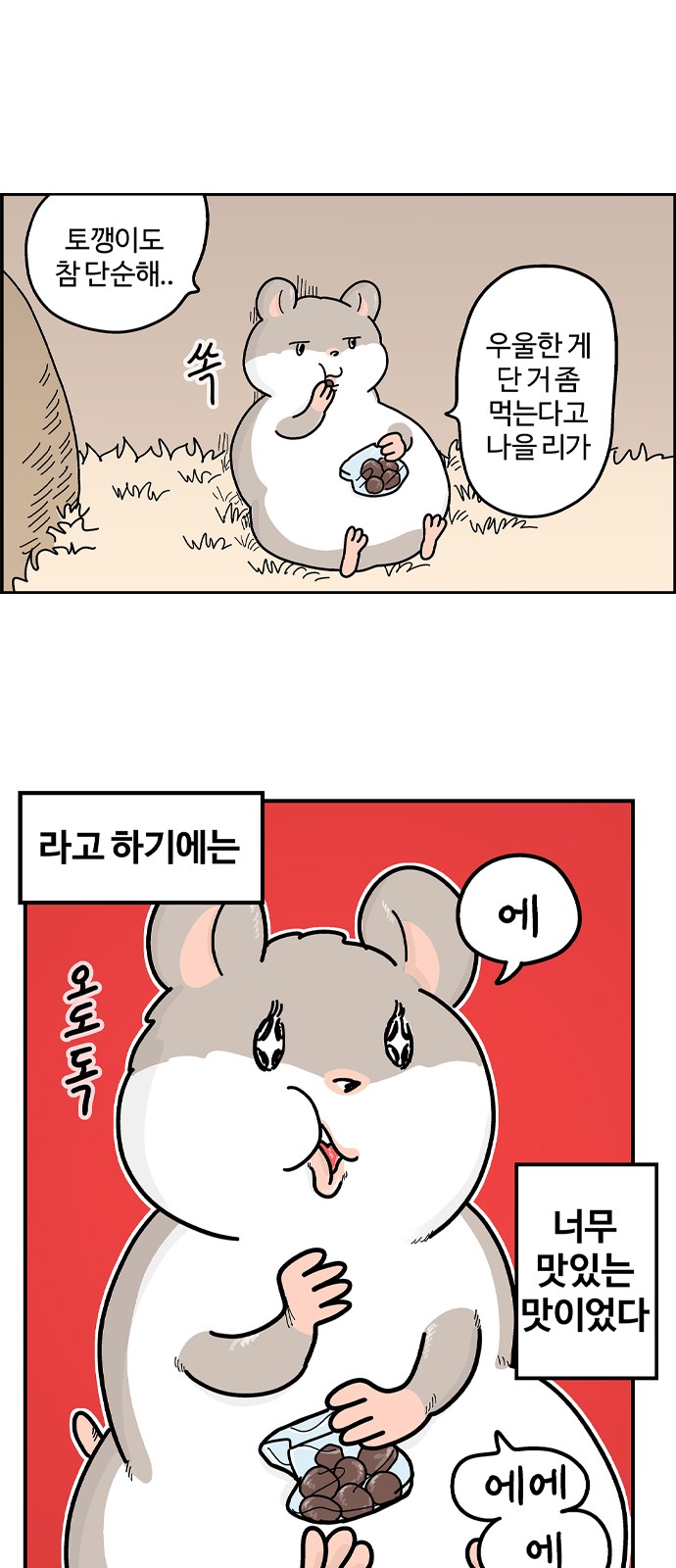 11 페이지