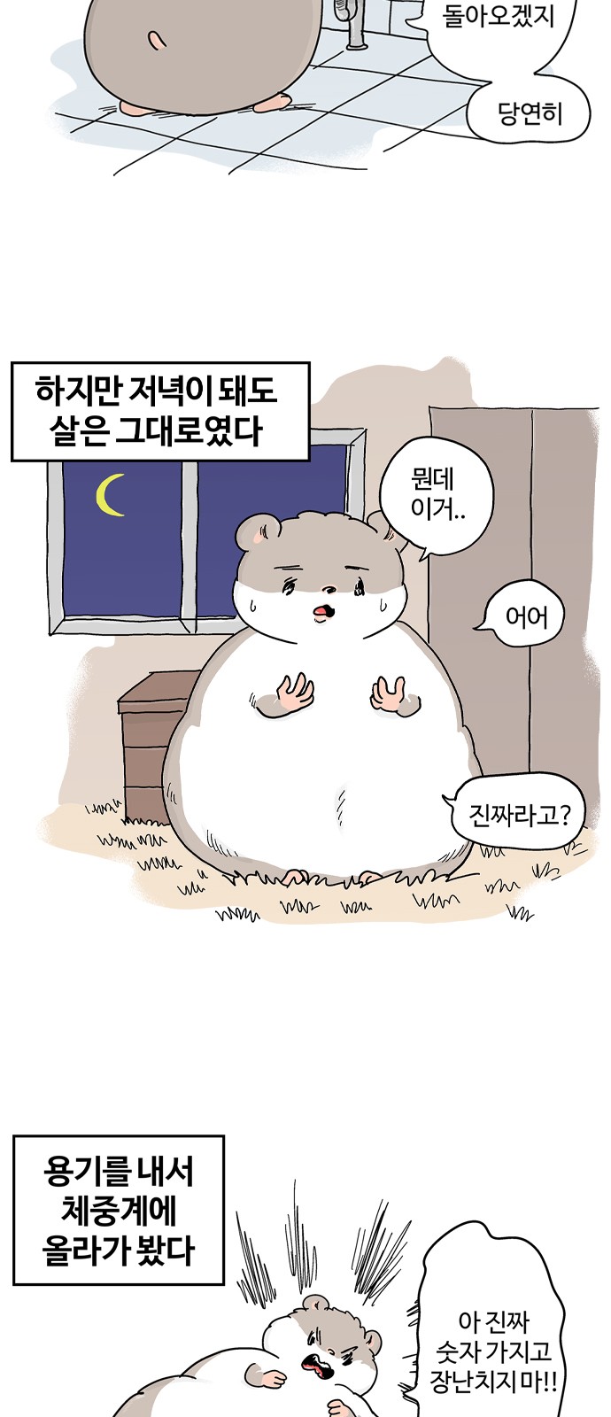 3 페이지