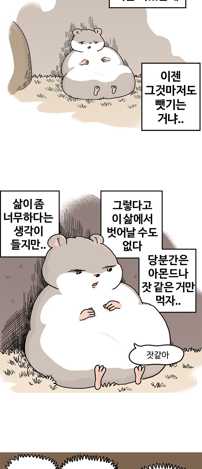 5 페이지