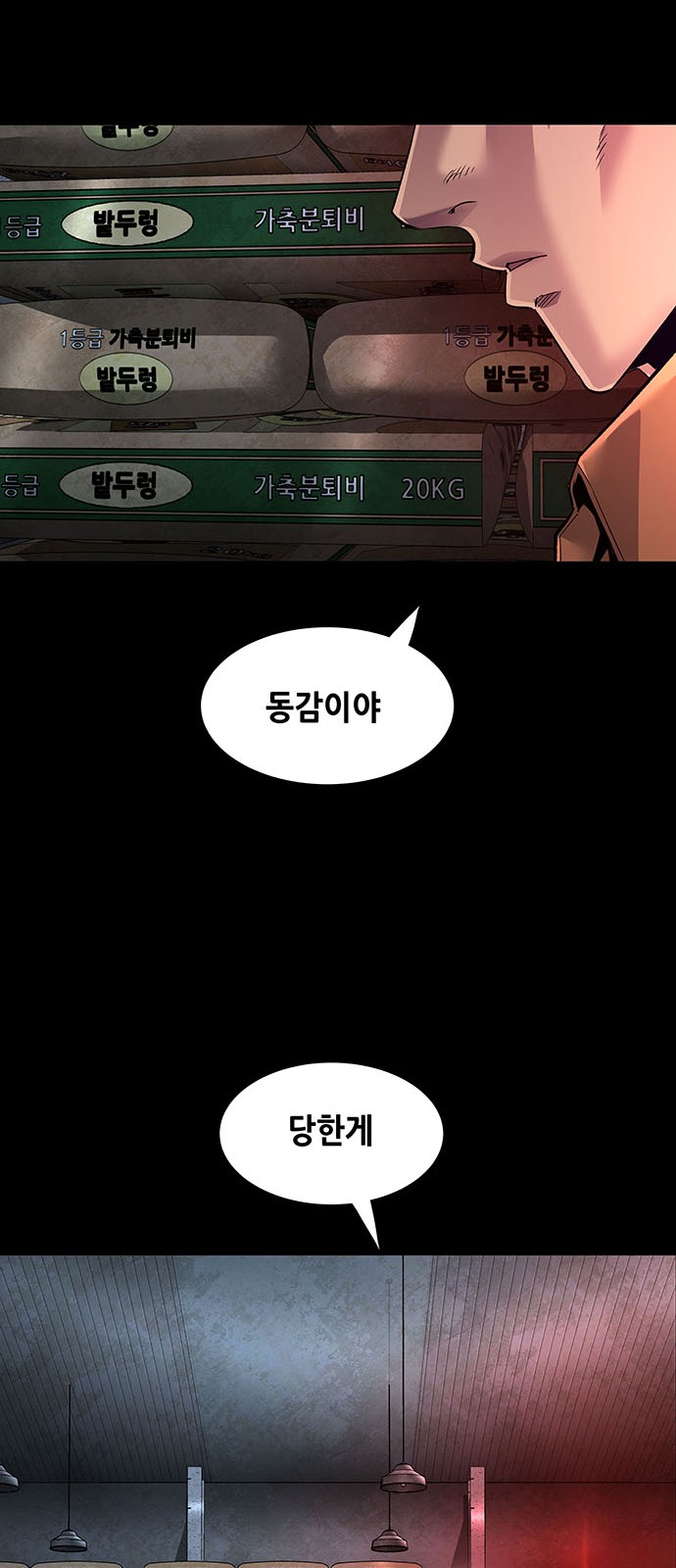 48 페이지