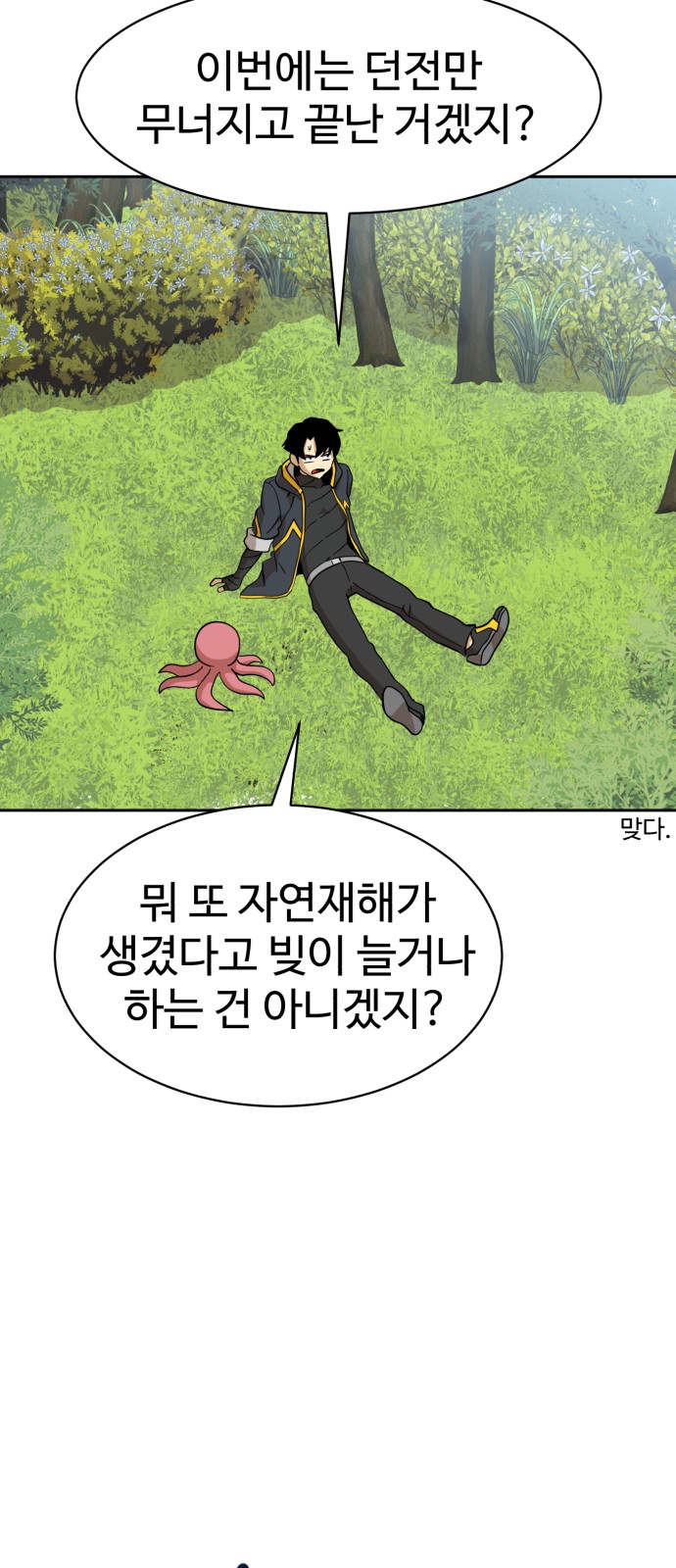 46 페이지