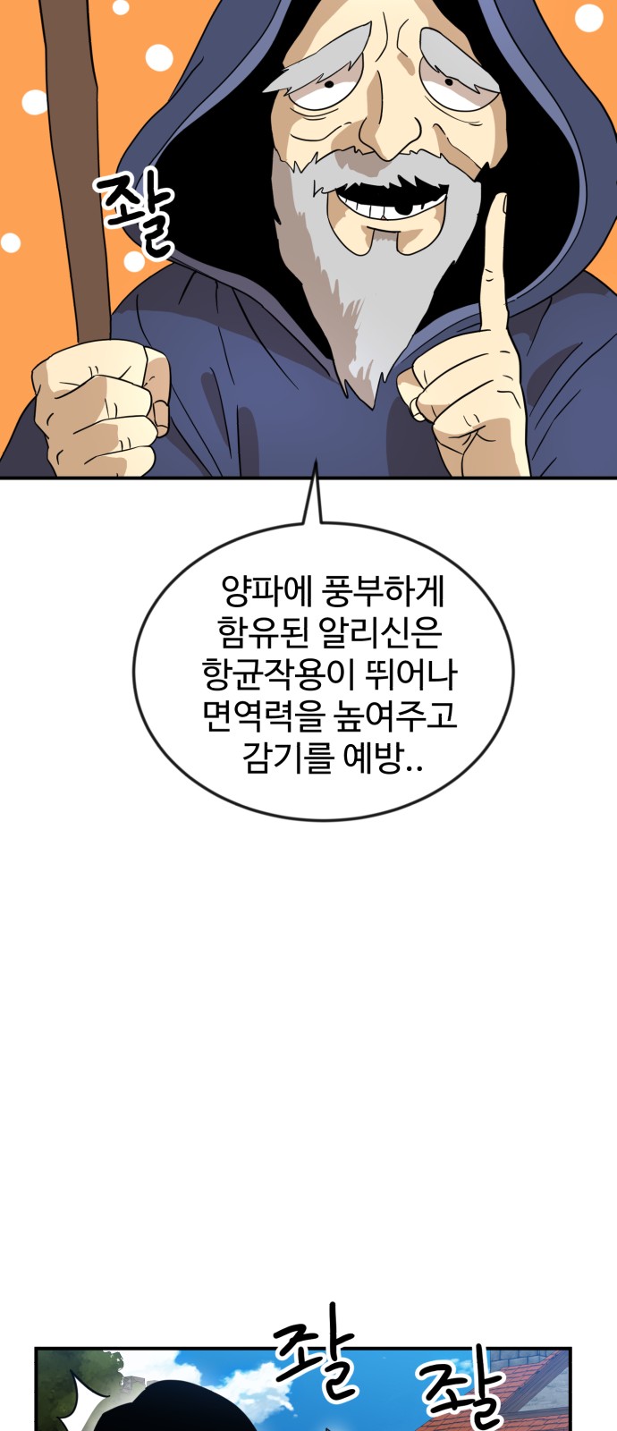 31 페이지