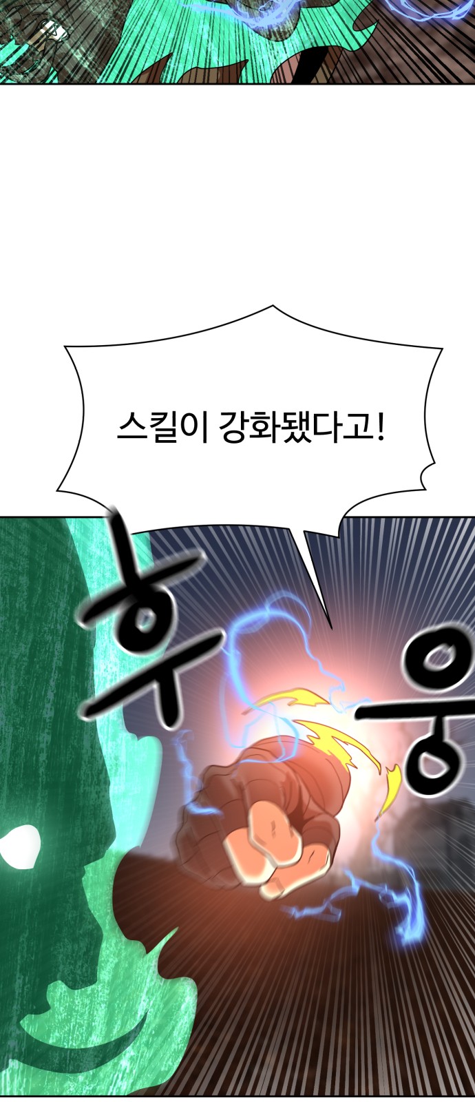 66 페이지