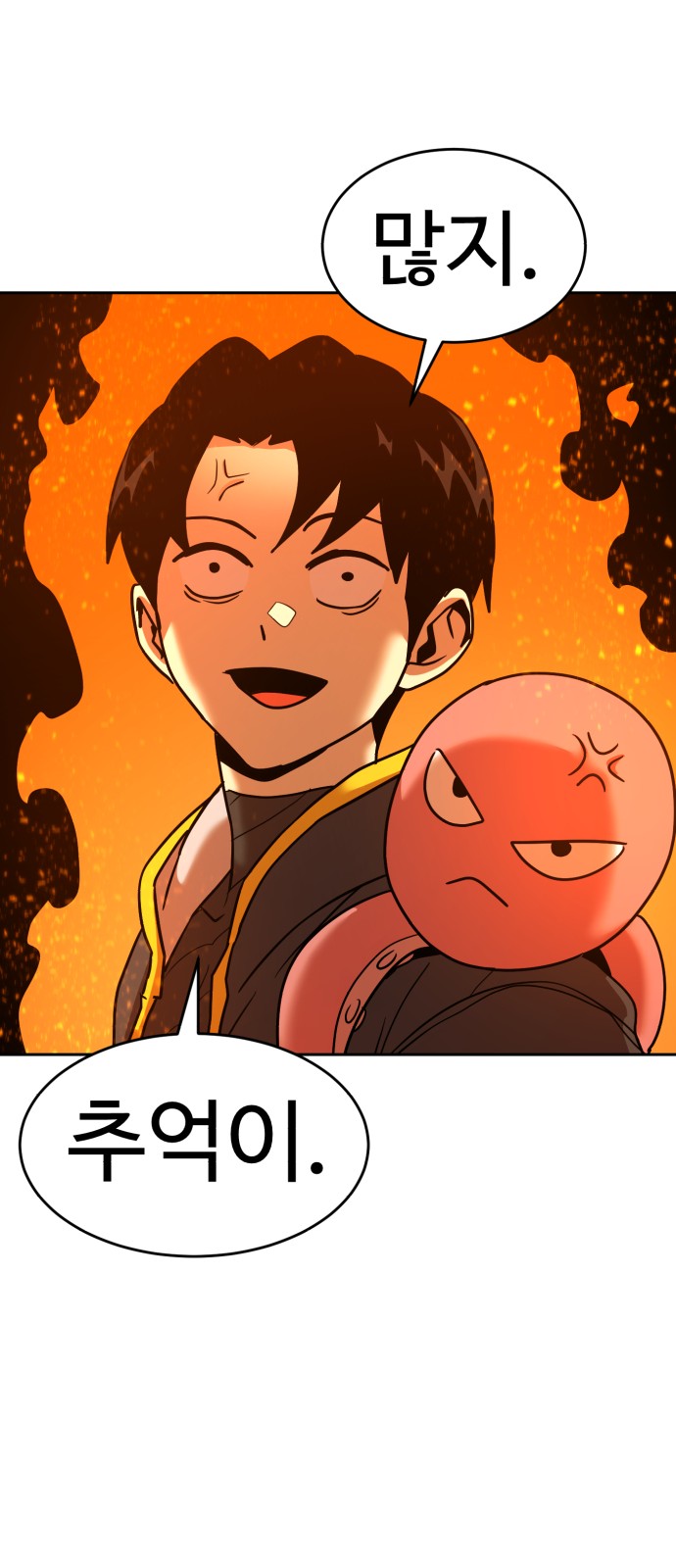 71 페이지