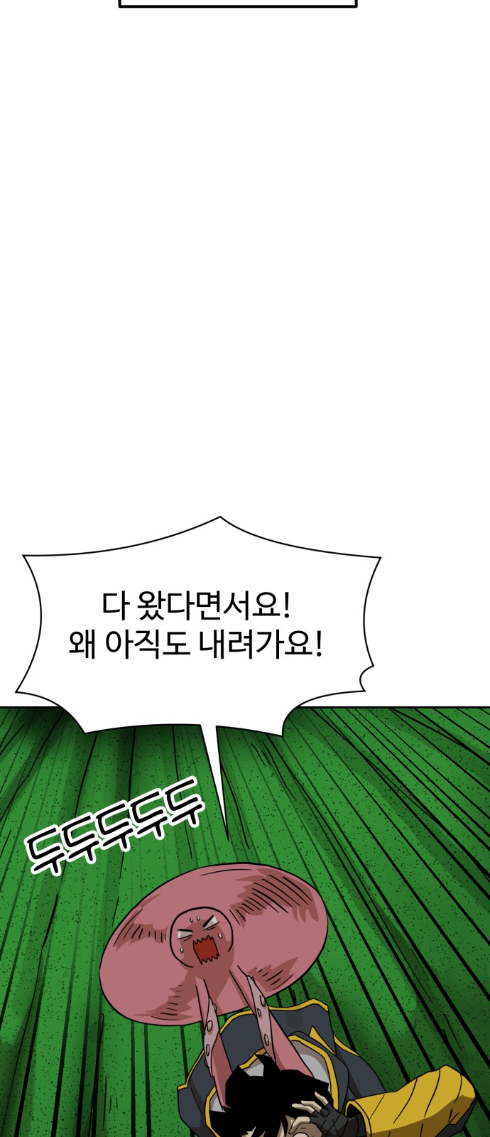 66 페이지