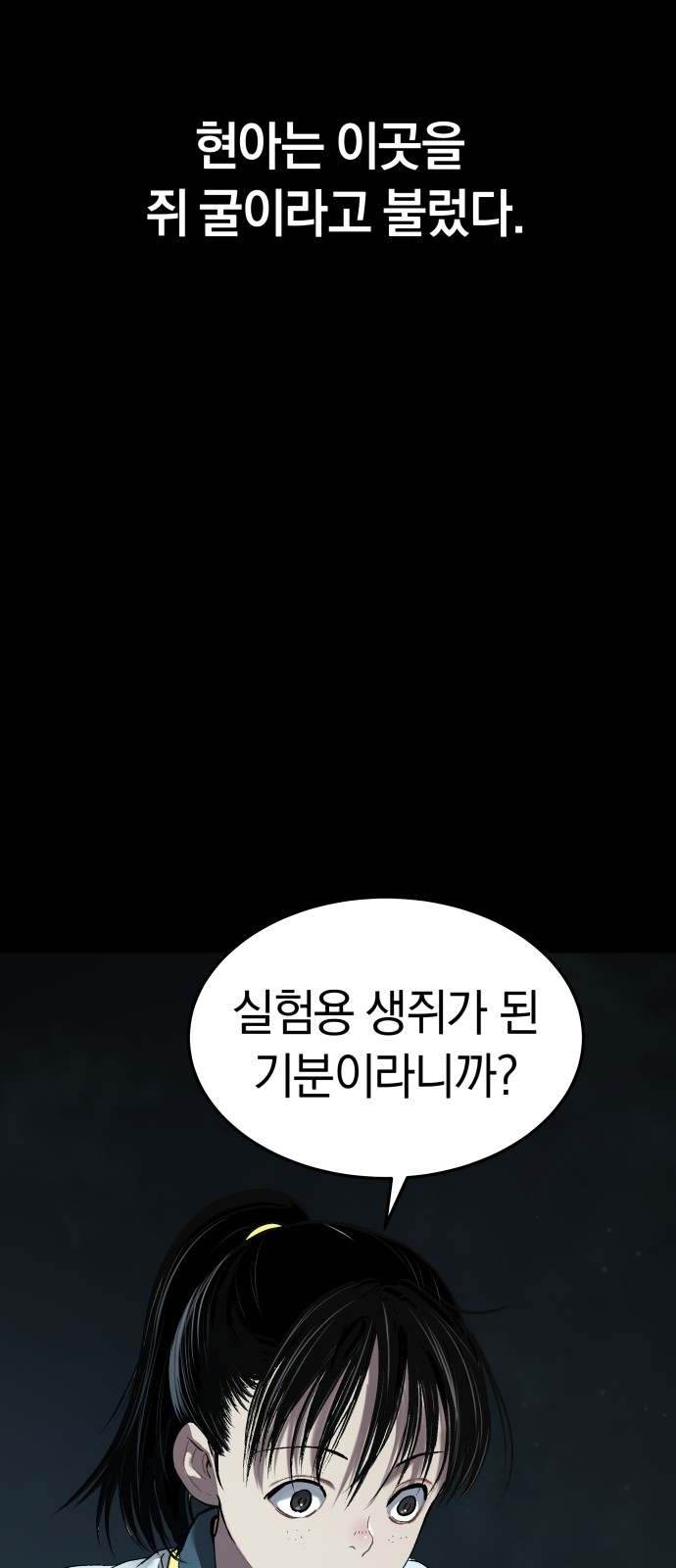 35 페이지