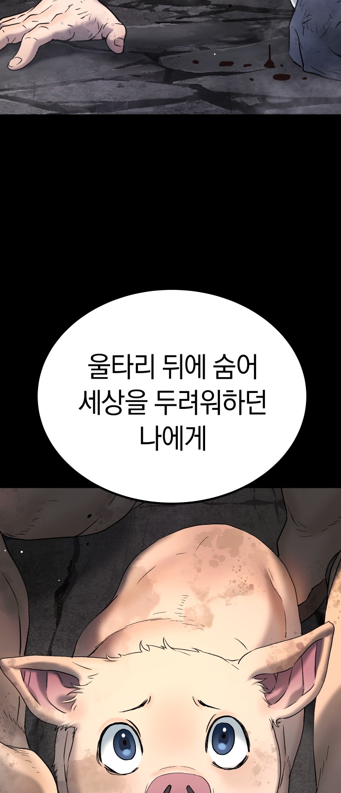 80 페이지