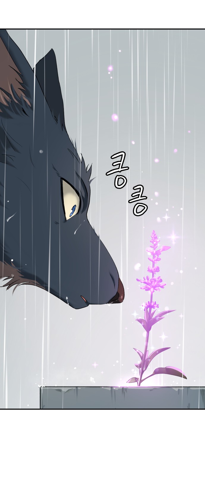 67 페이지