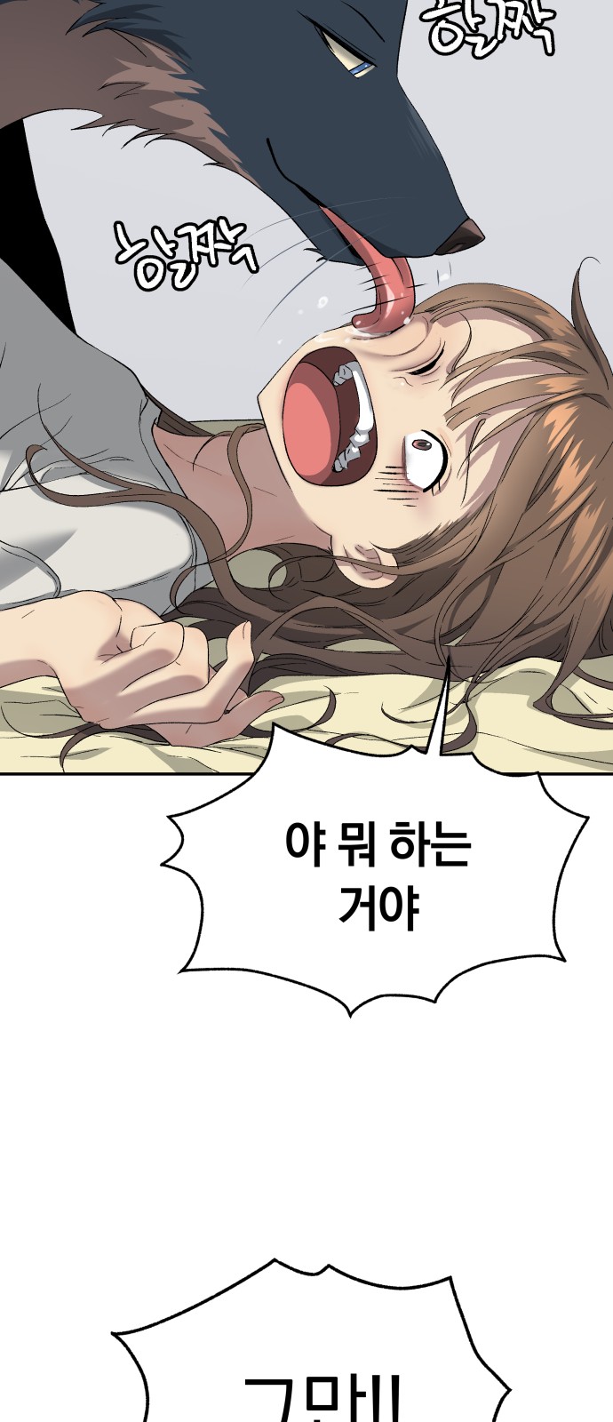 43 페이지
