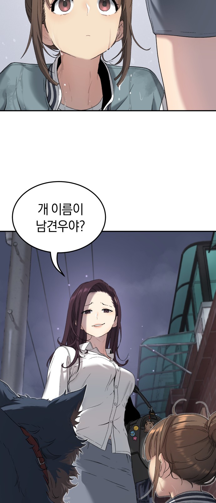 26 페이지