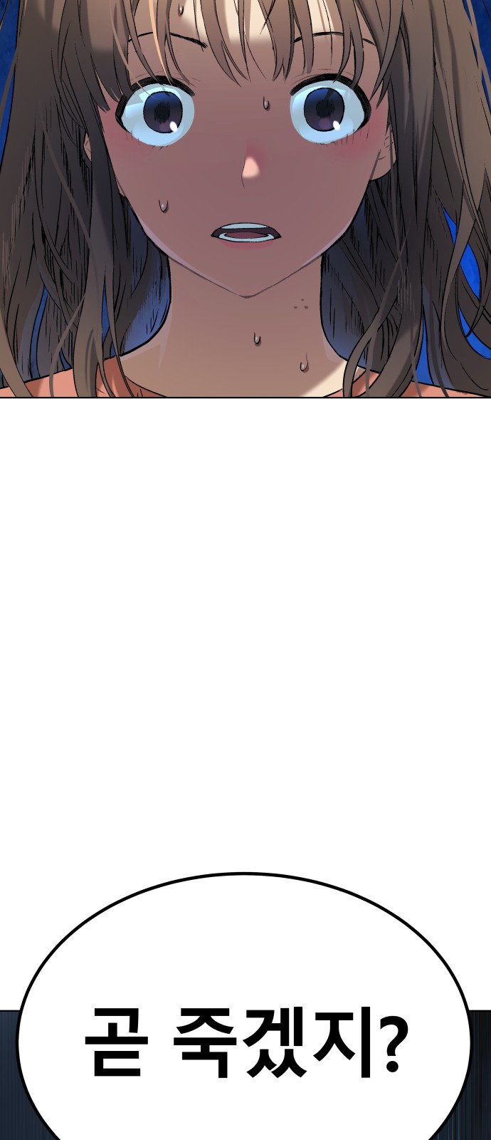 102 페이지