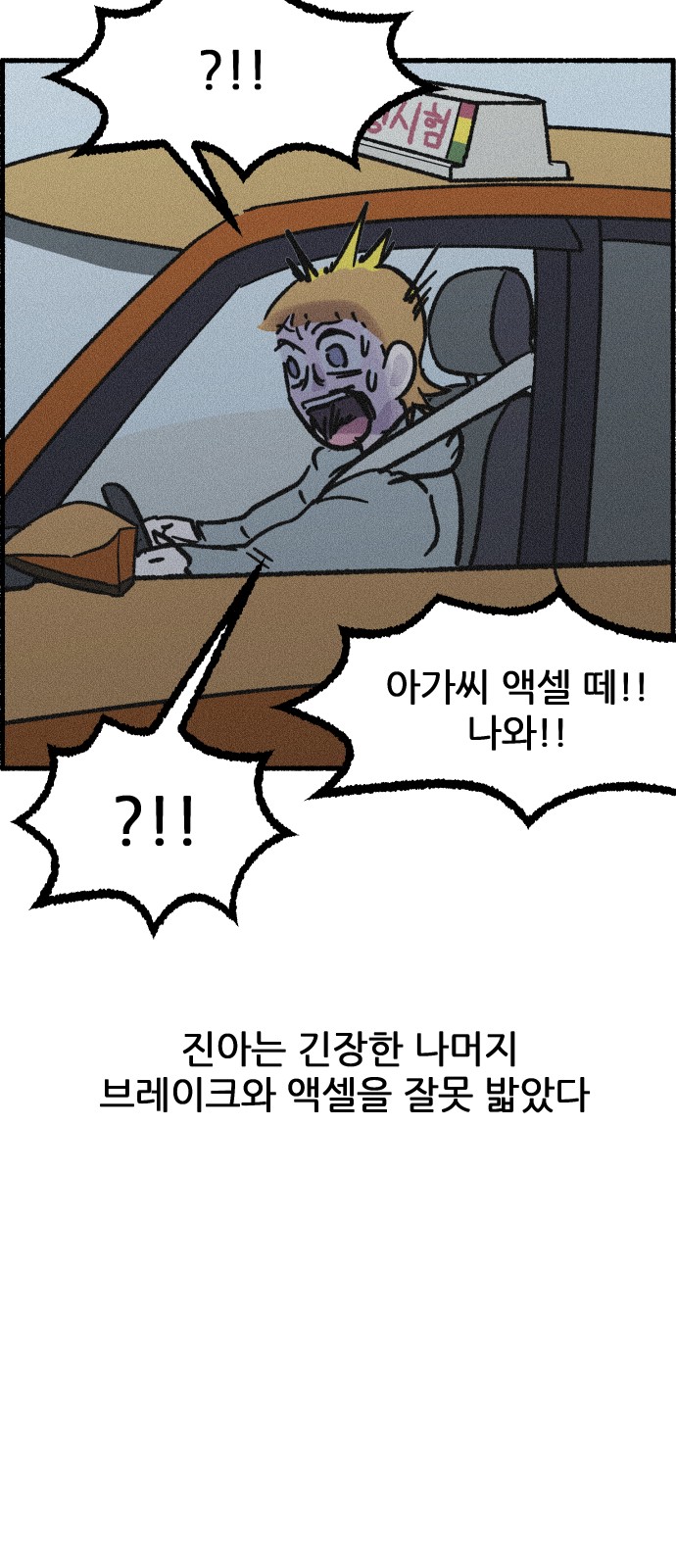 29 페이지