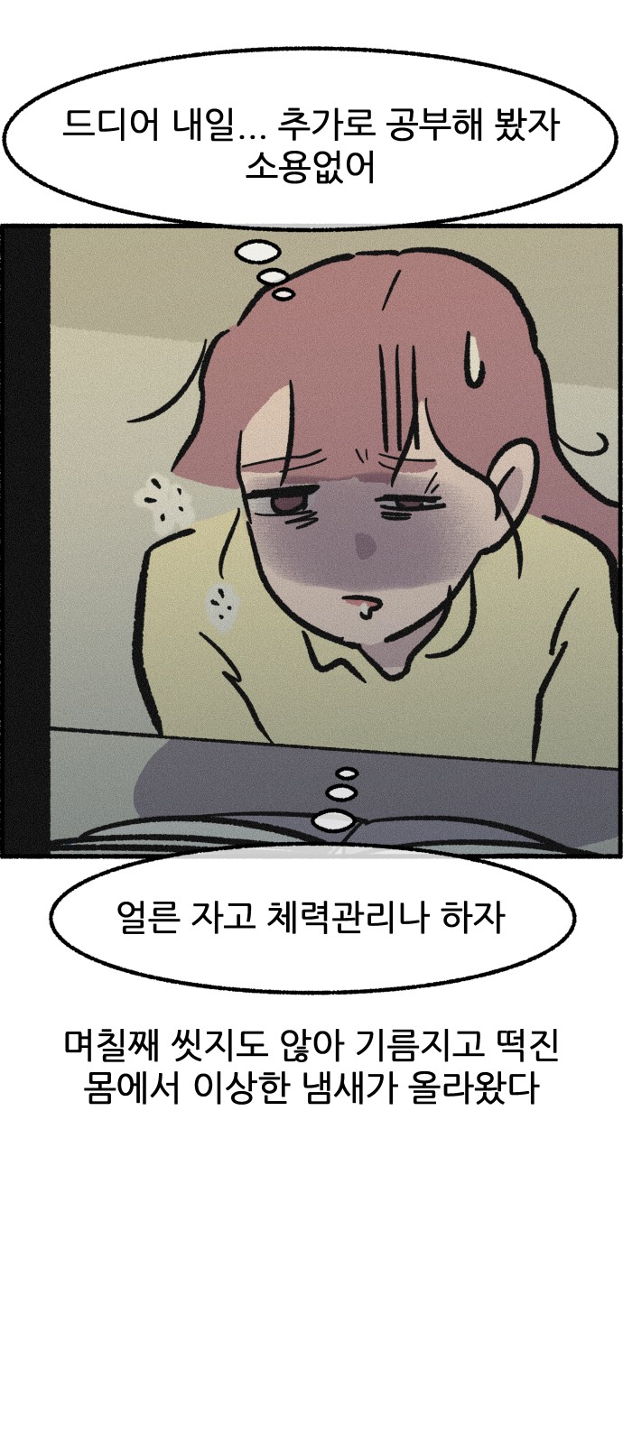 43 페이지