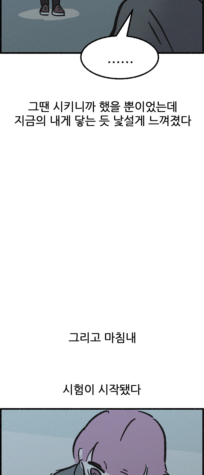 30 페이지