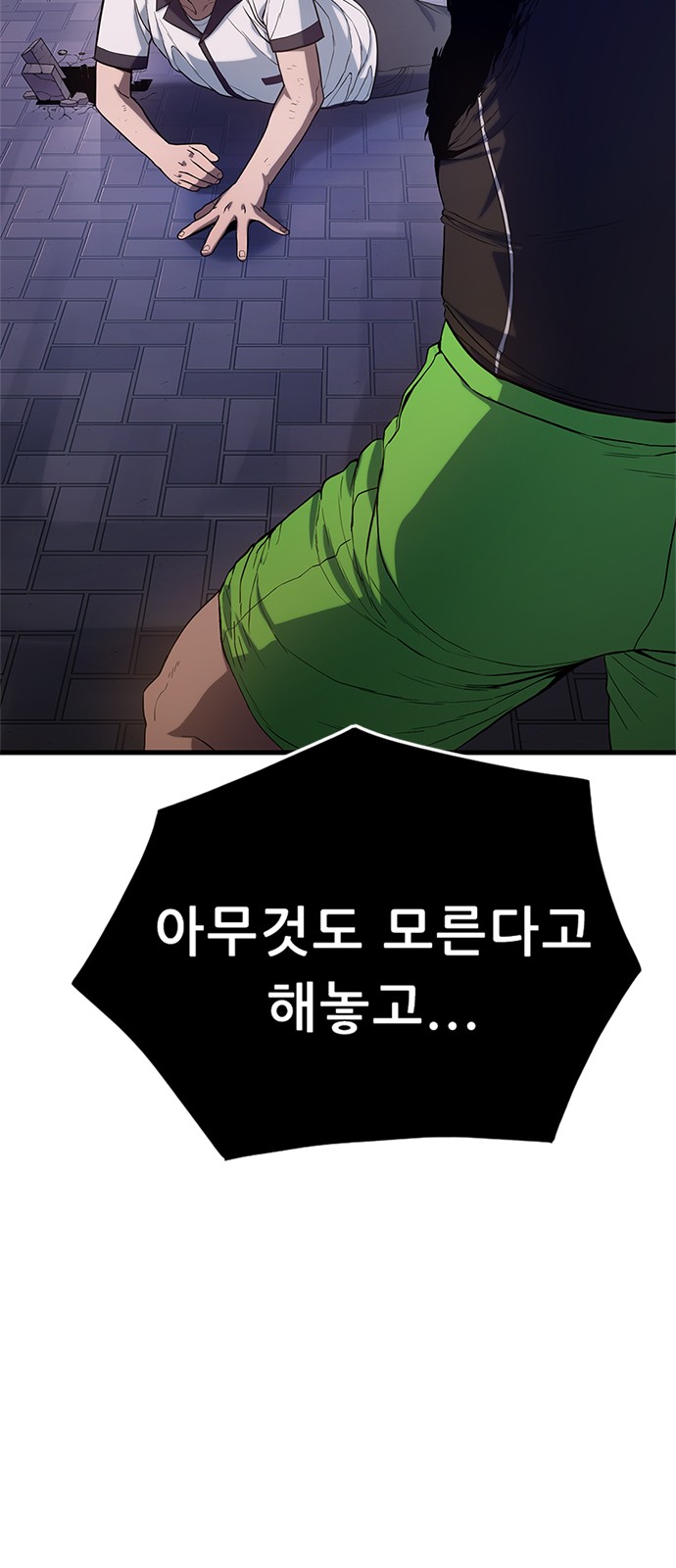 66 페이지