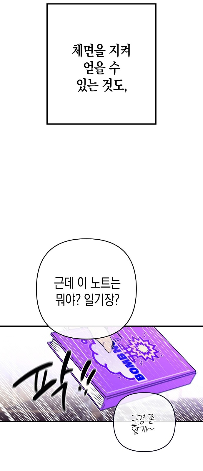 53 페이지