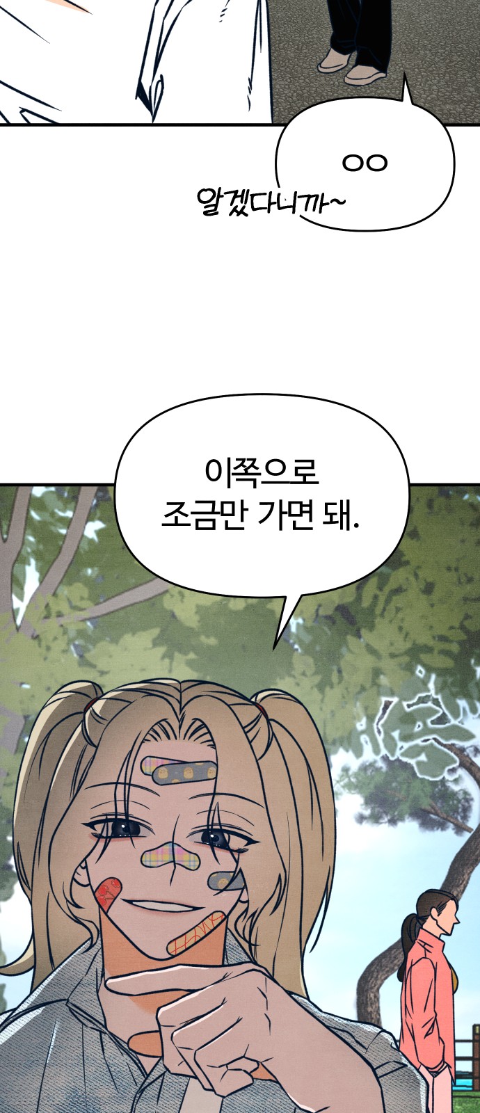 66 페이지