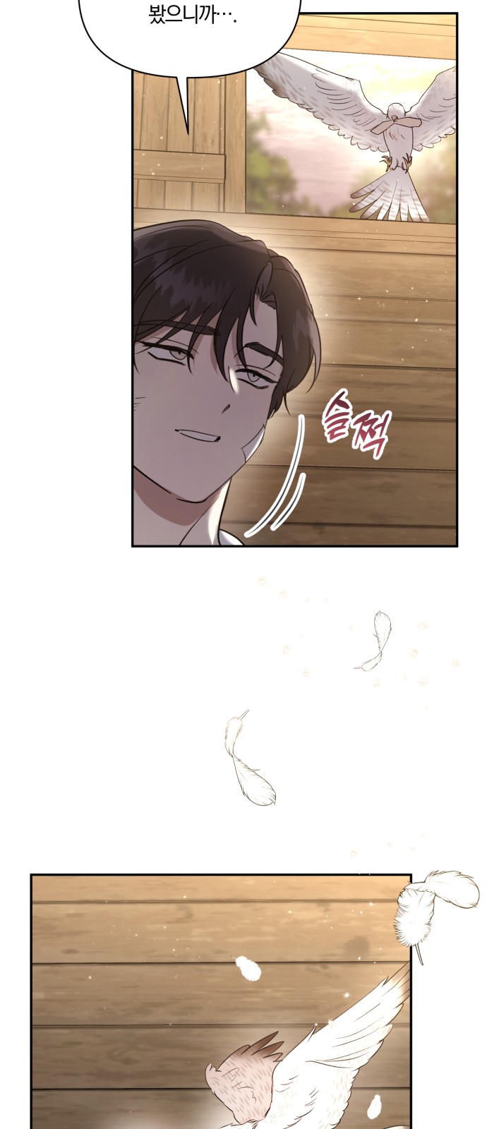 66 페이지