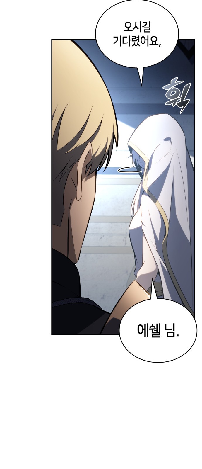 45 페이지