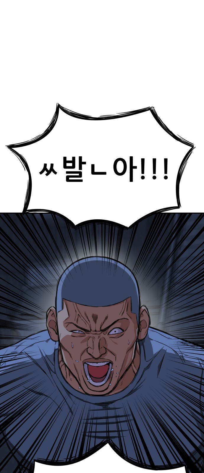 243 페이지