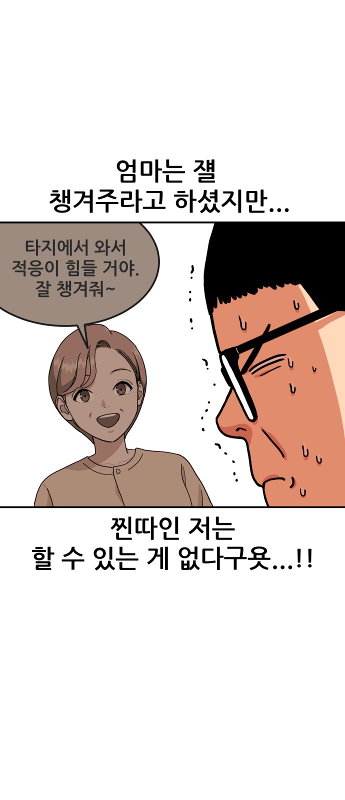 66 페이지