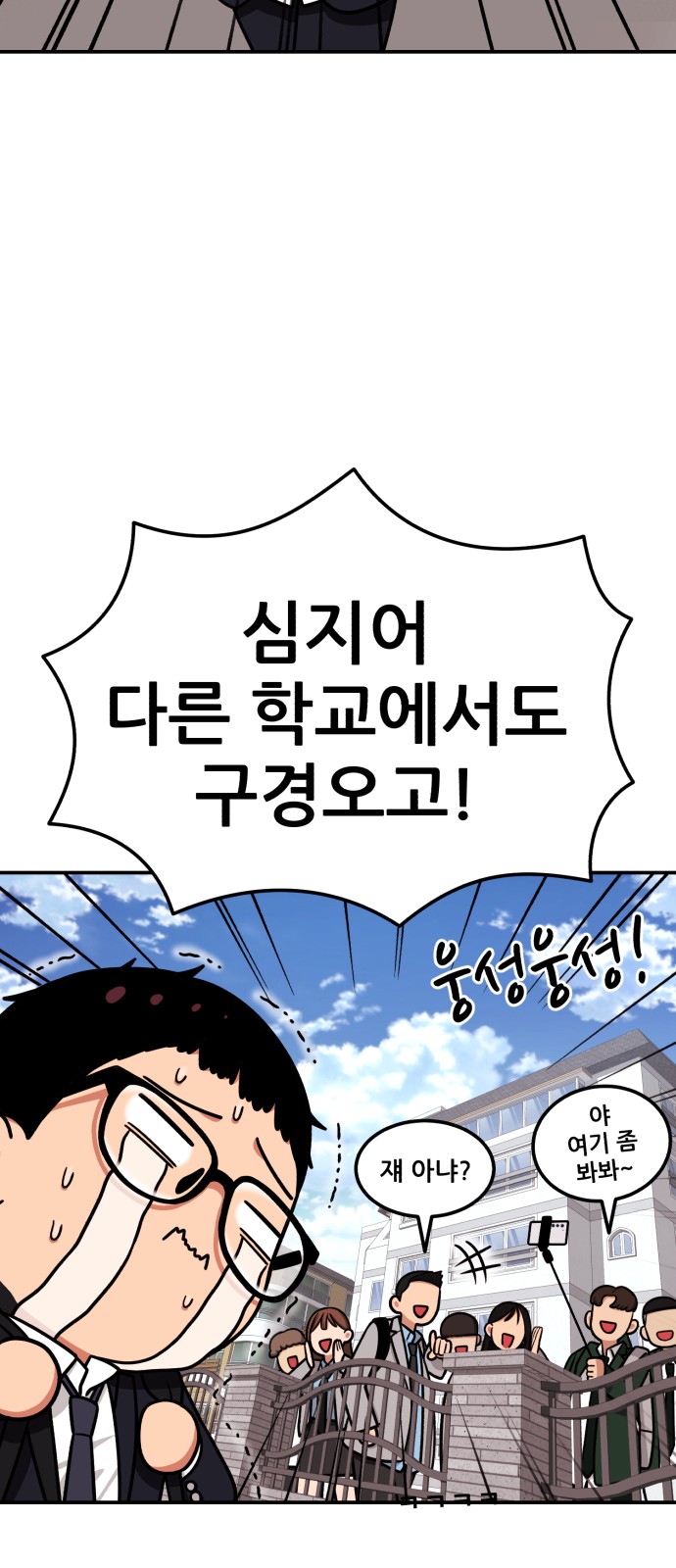 81 페이지