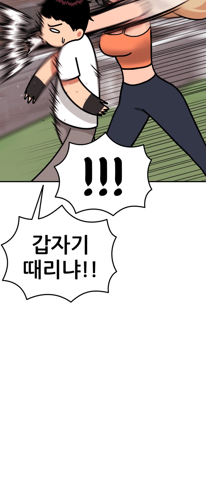 53 페이지