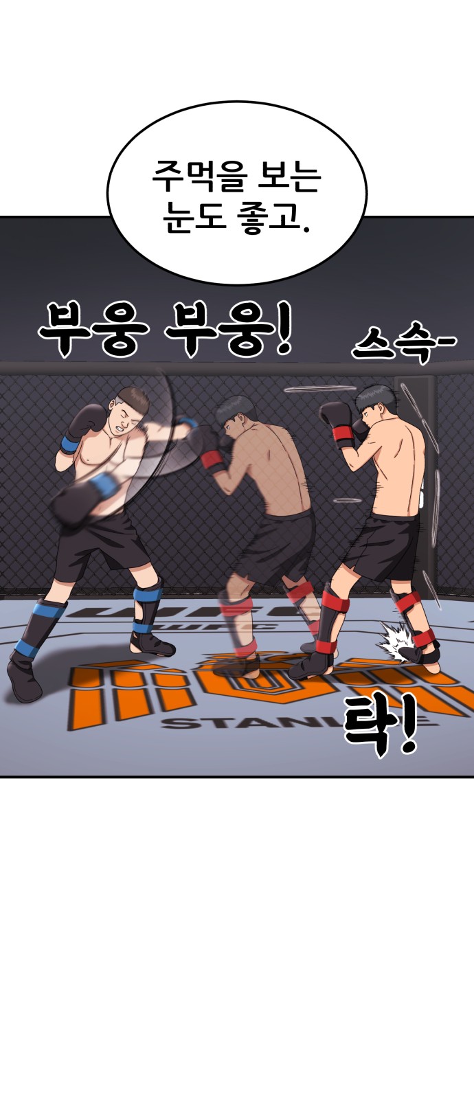 74 페이지