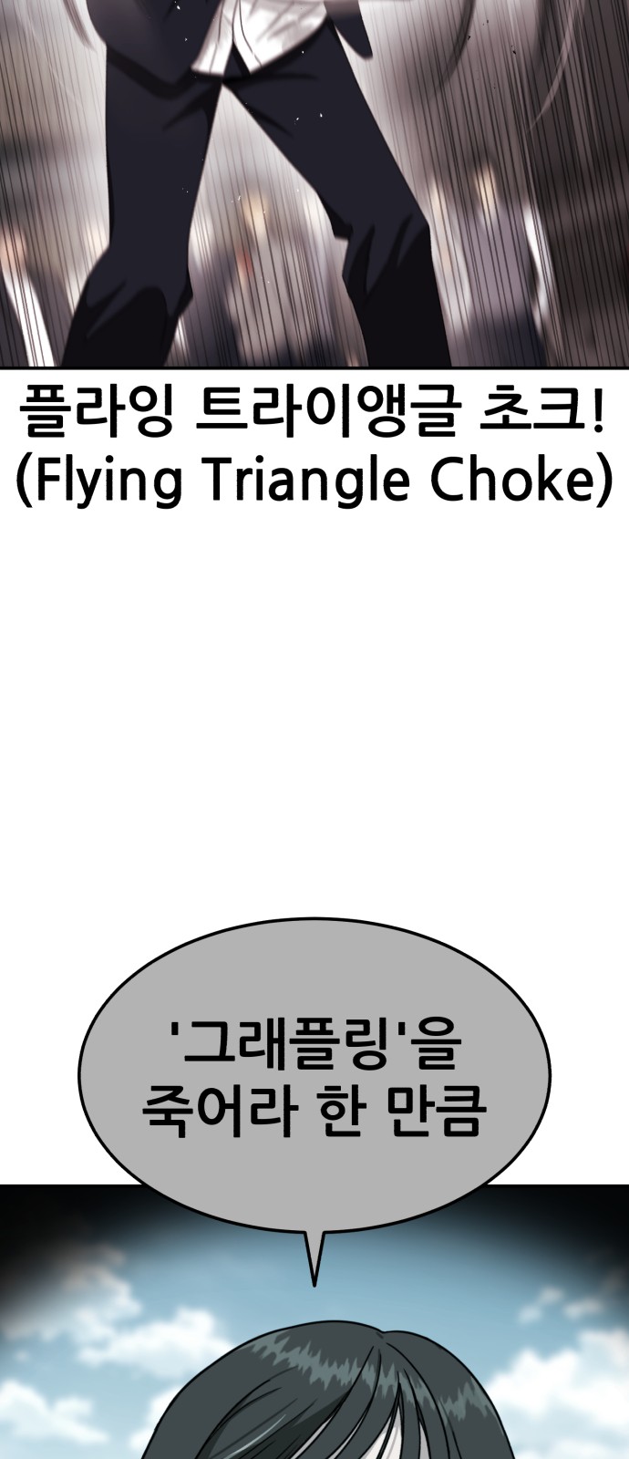 63 페이지