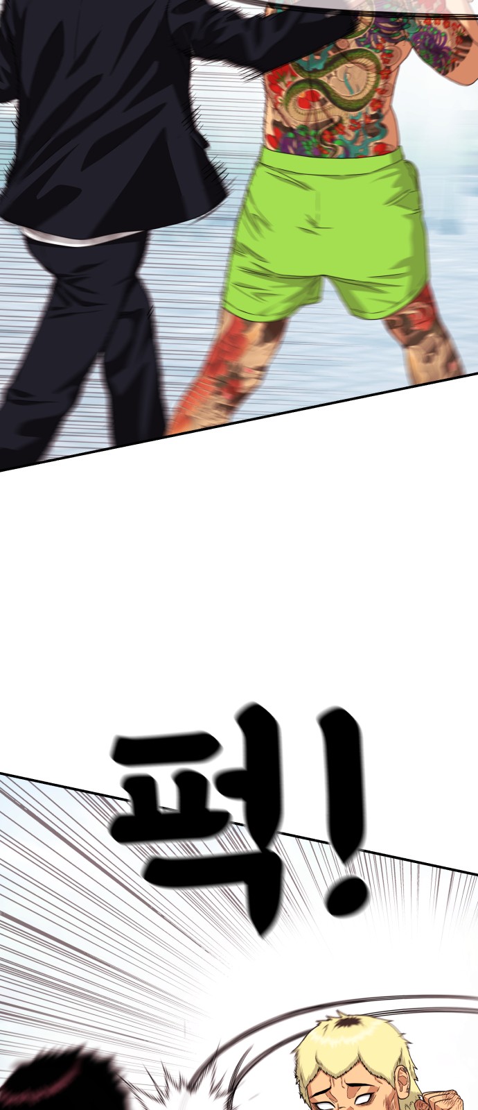 44 페이지