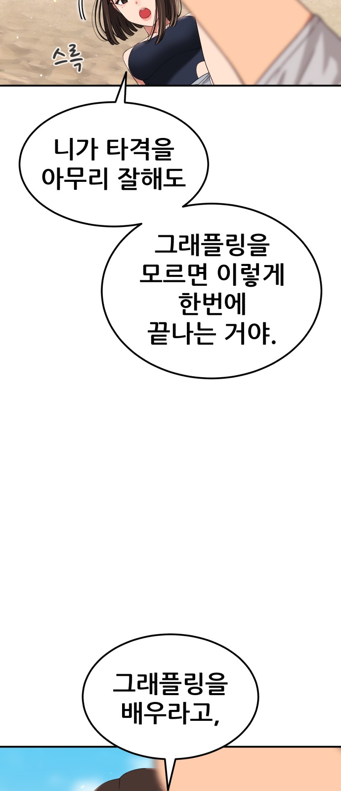 66 페이지