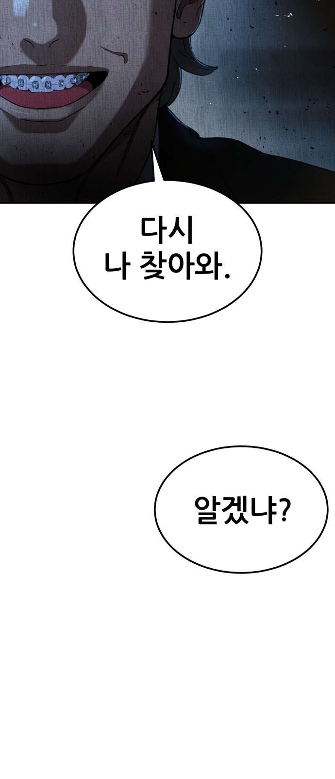 86 페이지