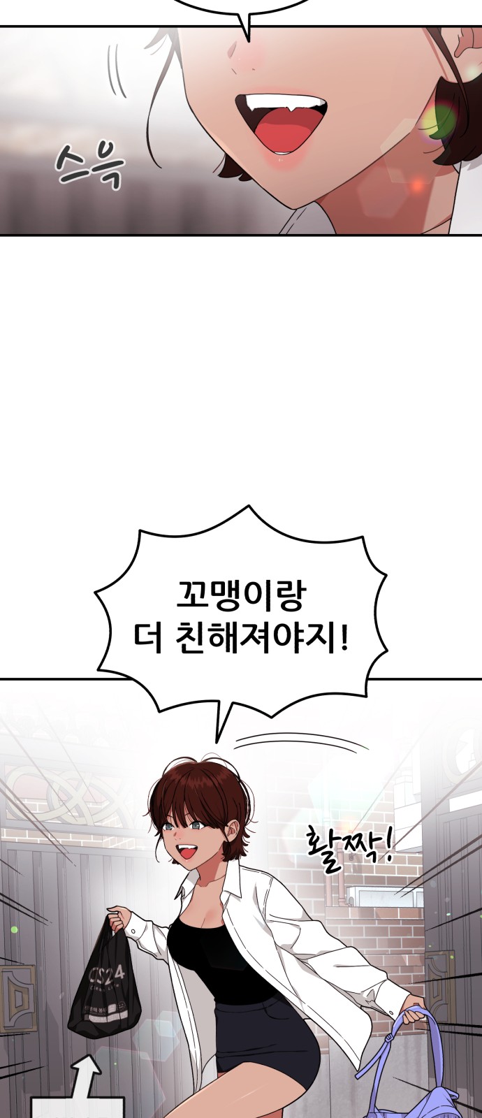 66 페이지