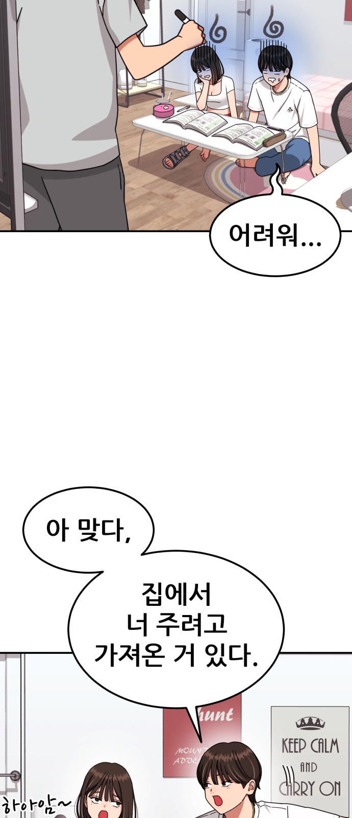 46 페이지