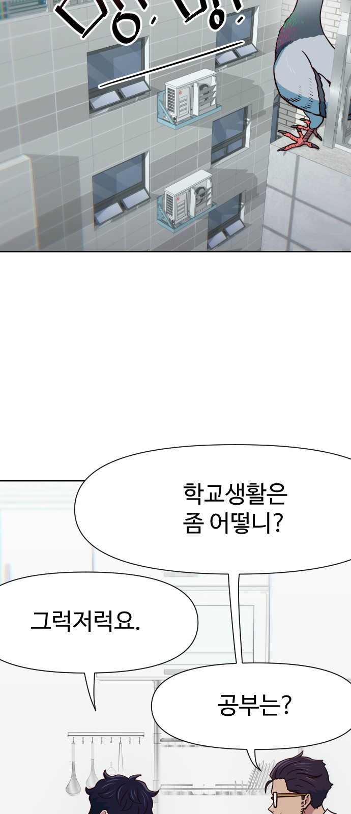 47 페이지