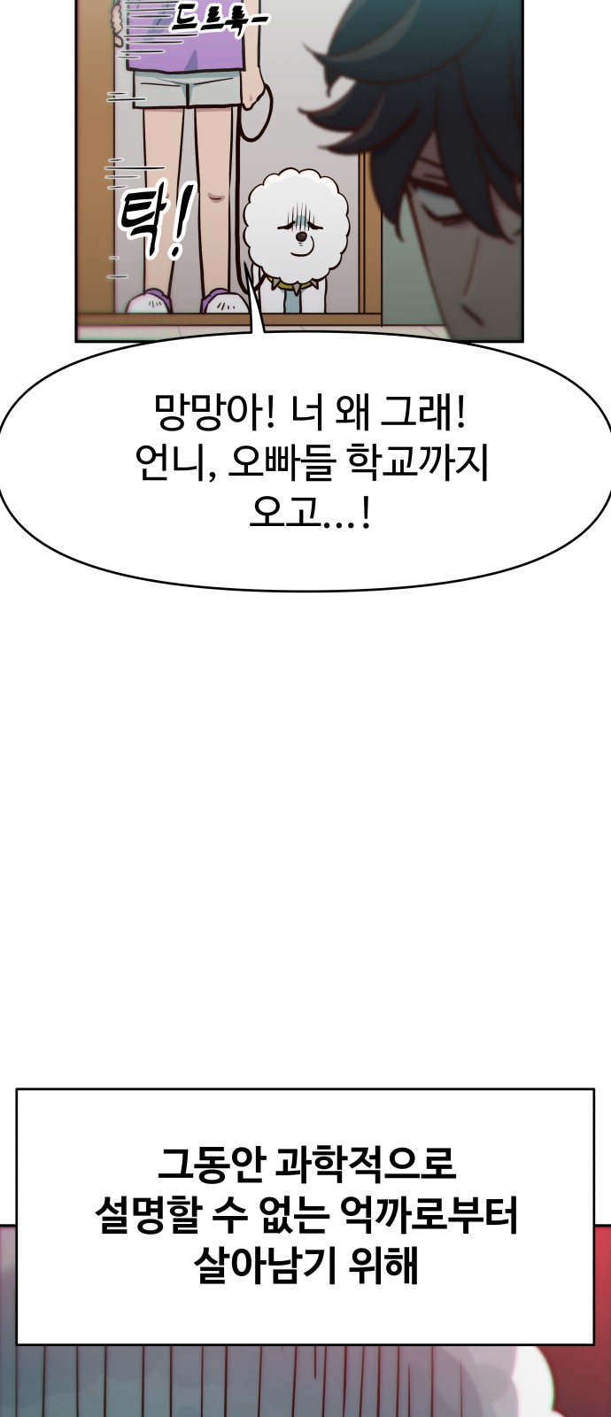 36 페이지