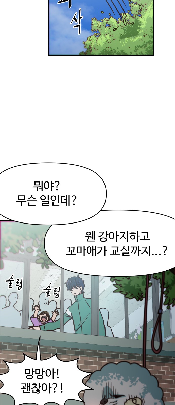 43 페이지