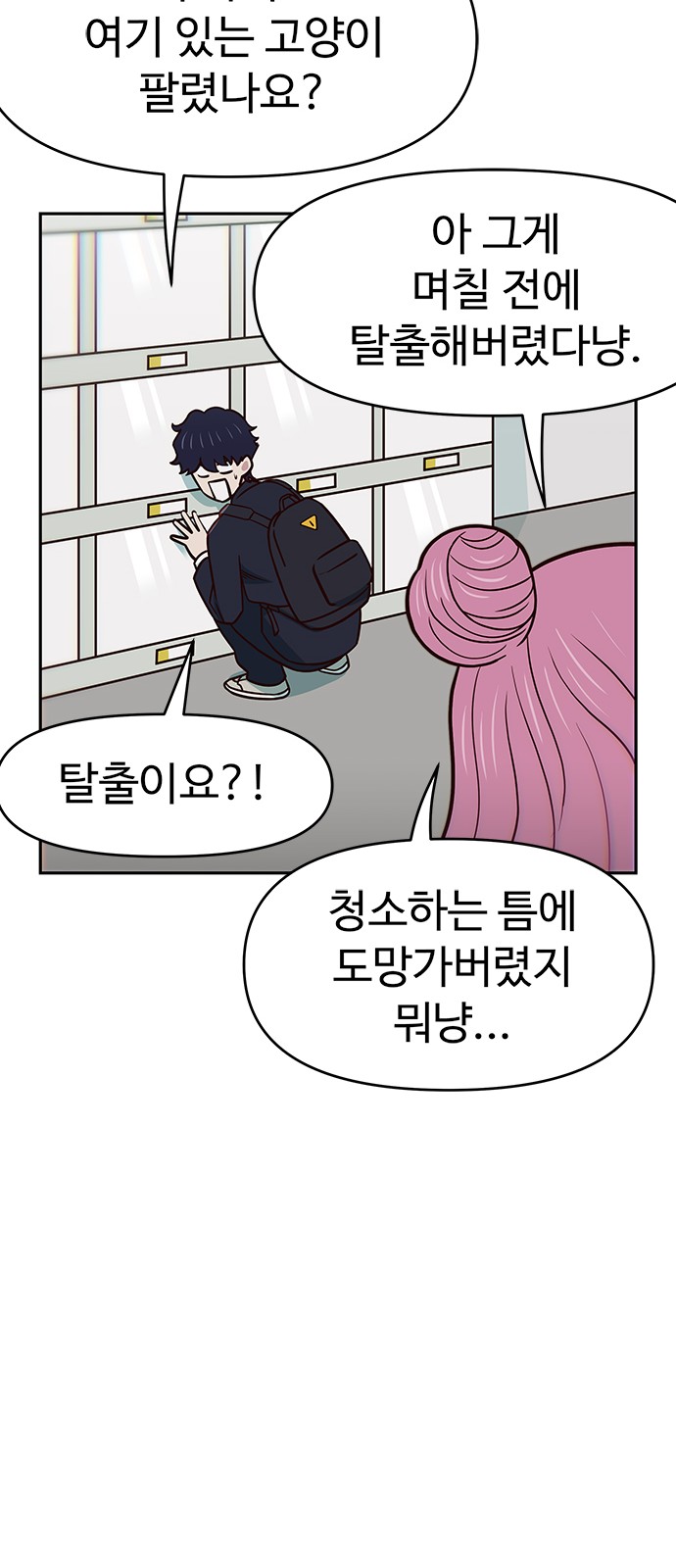 13 페이지