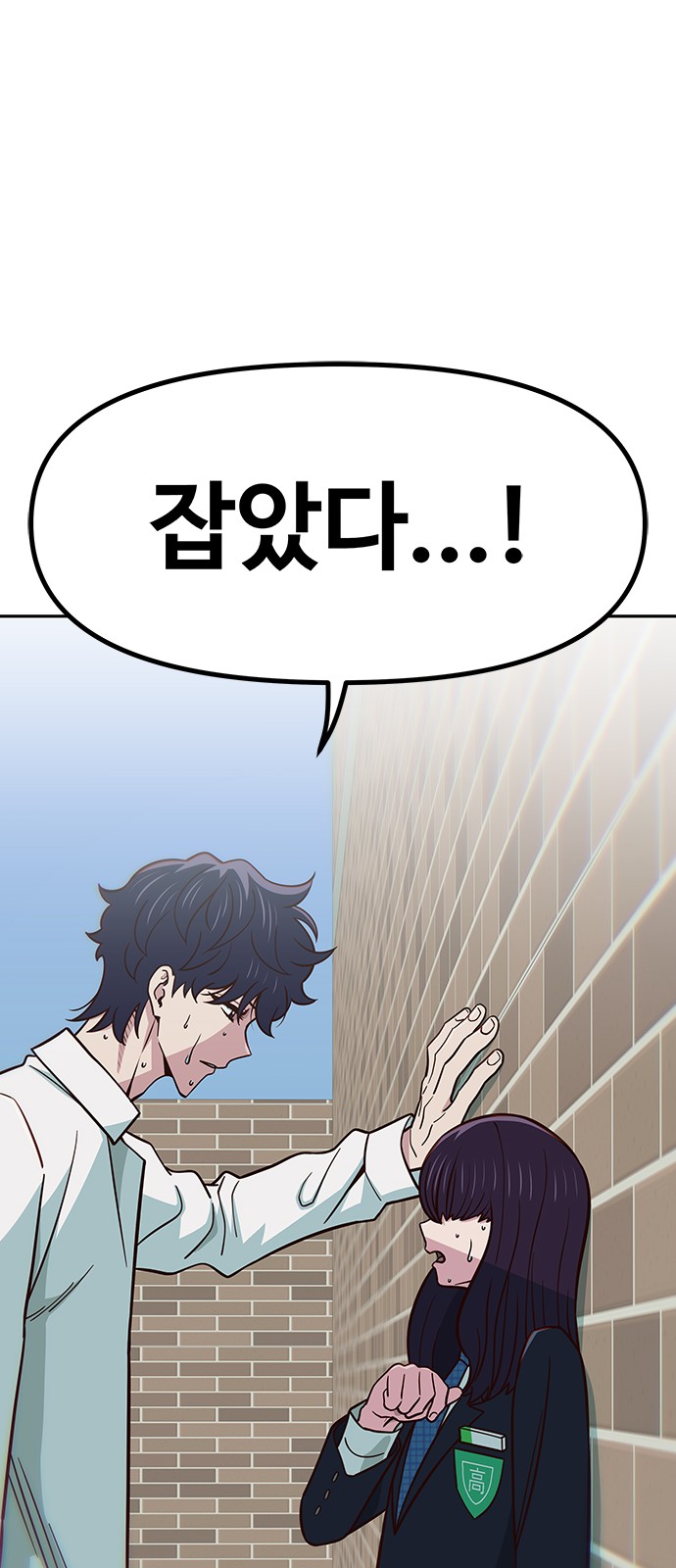 66 페이지