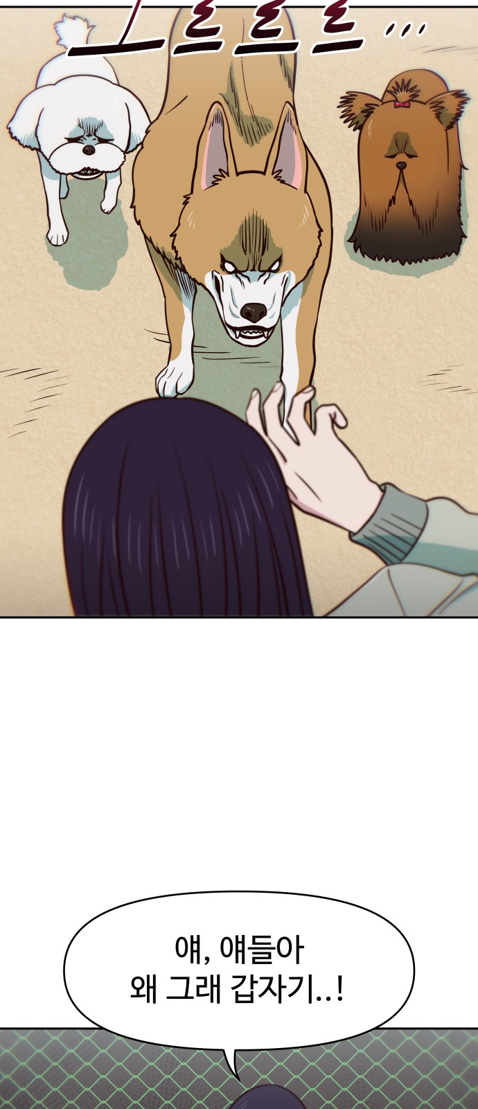 17 페이지