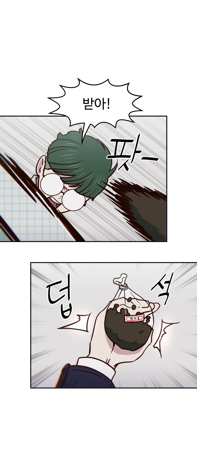 13 페이지