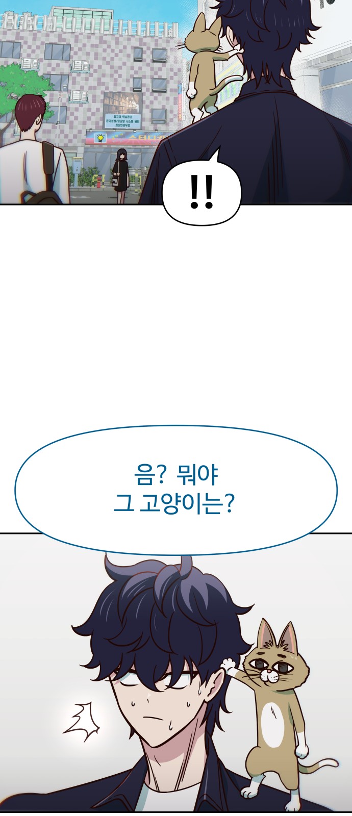 33 페이지