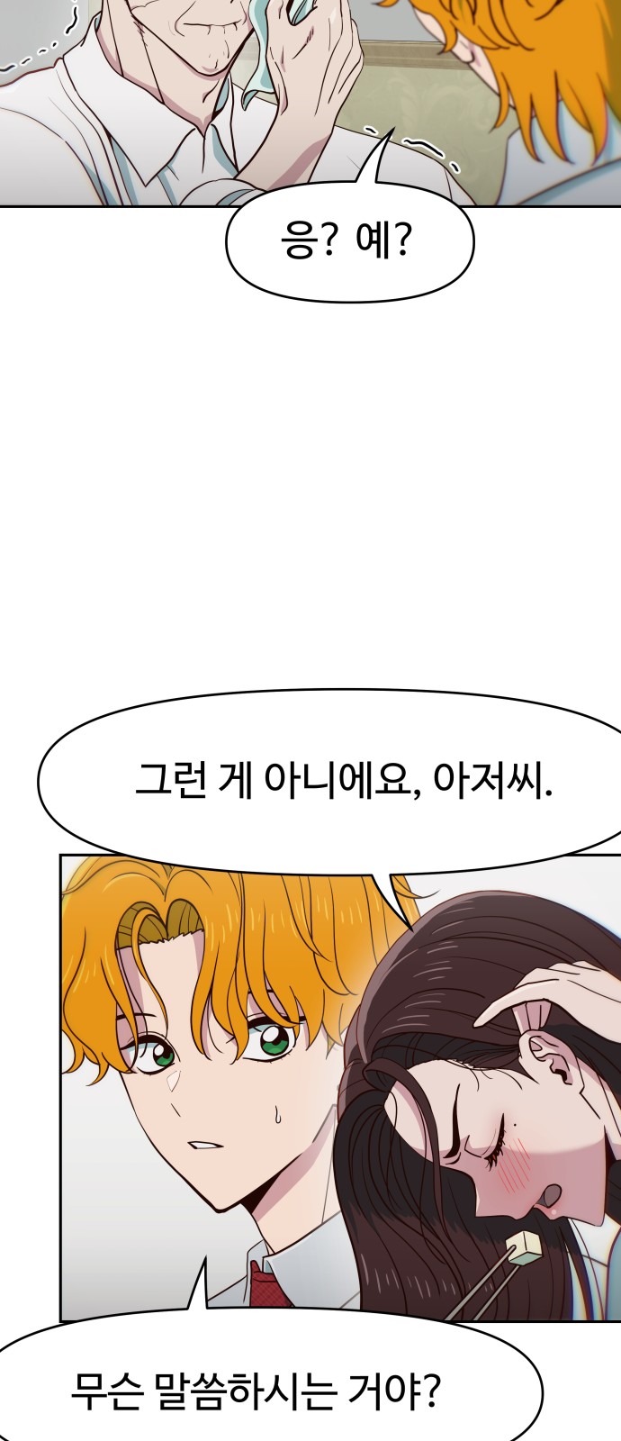 33 페이지