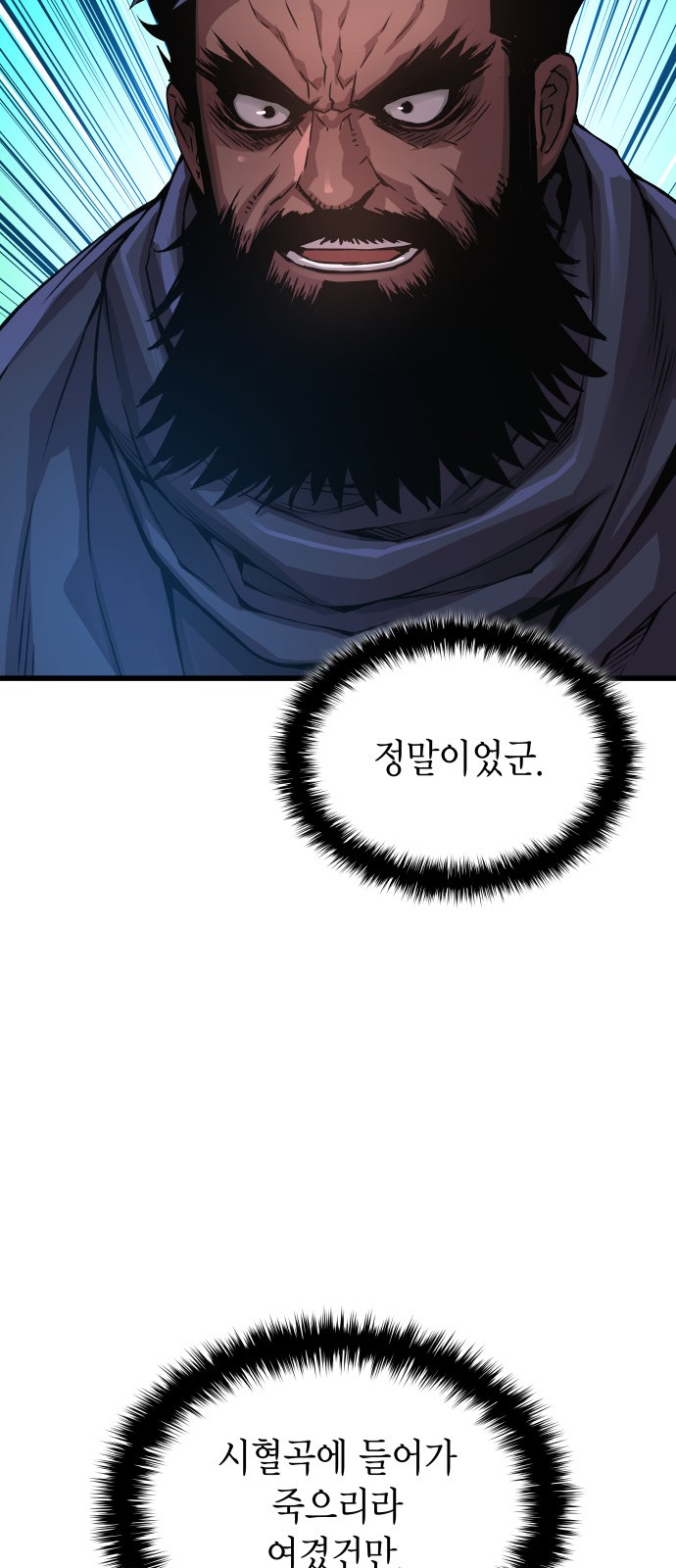 100 페이지